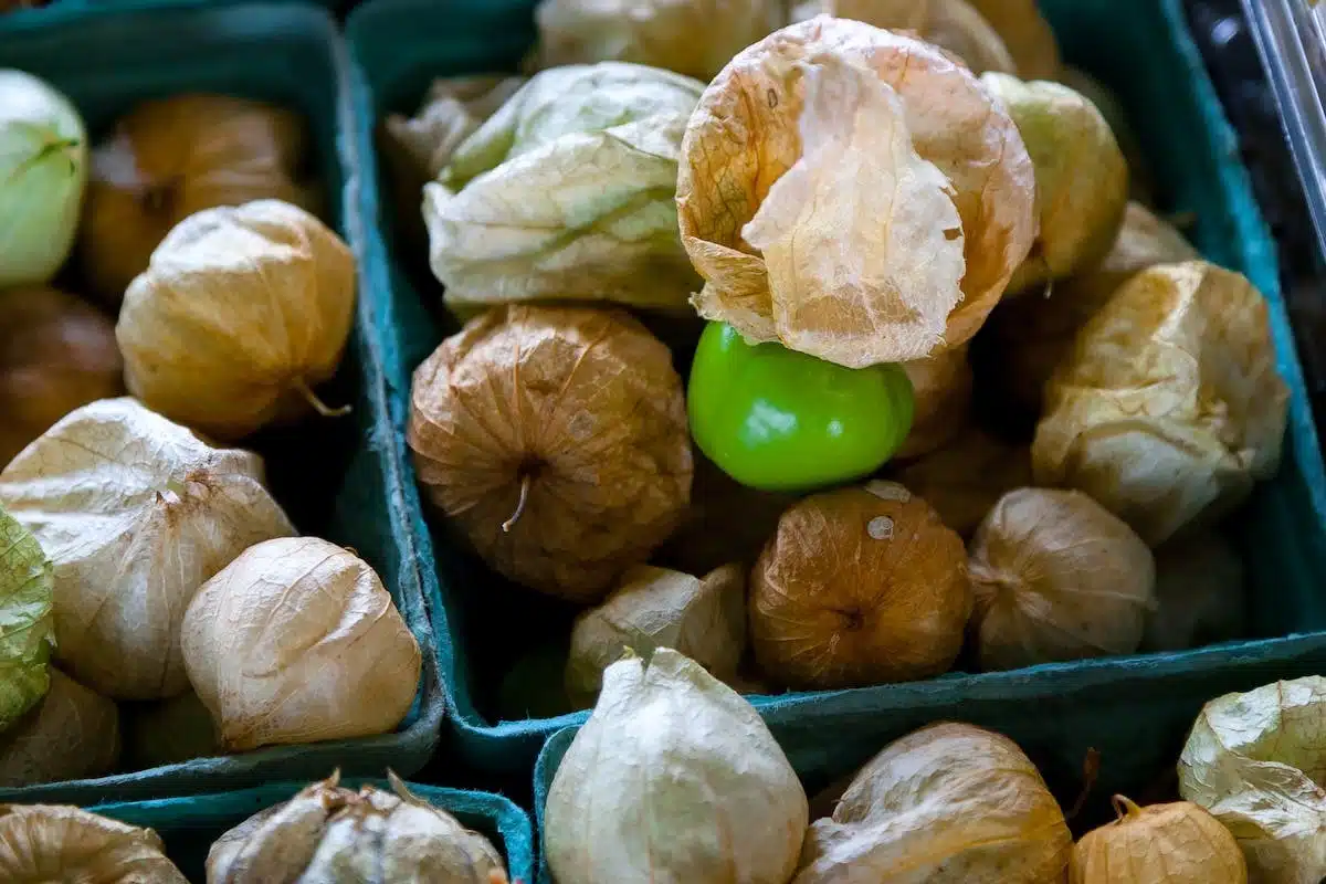 légumes secs