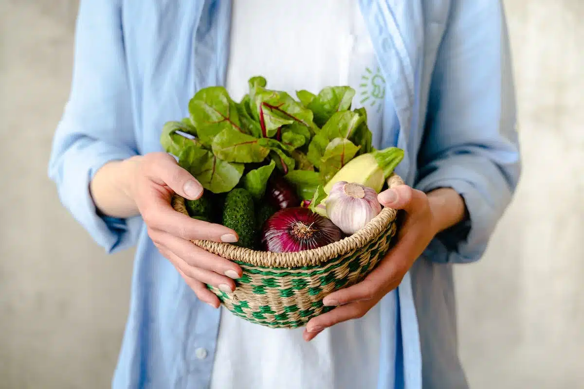 panier  aliments