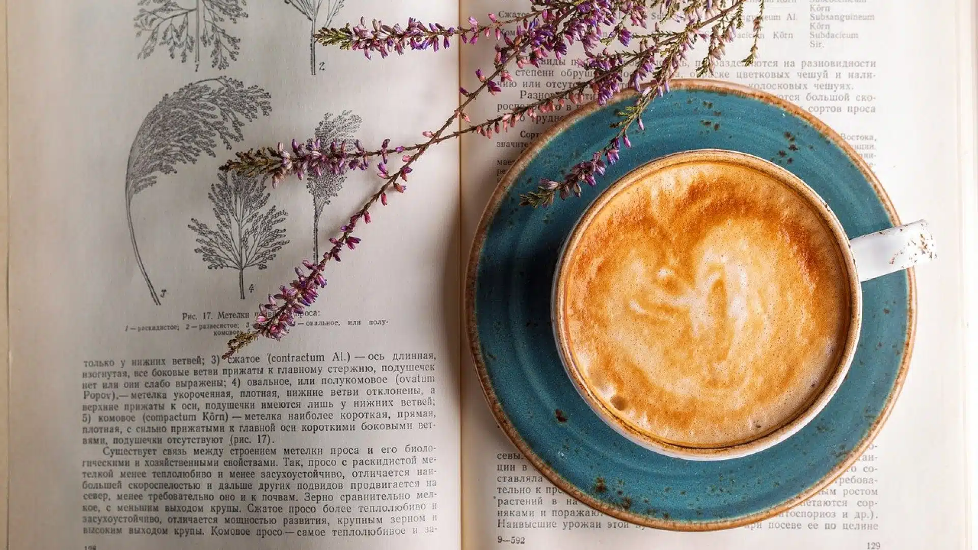 Les équipements indispensables pour un café quotidien réussi